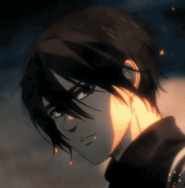 Mikasa